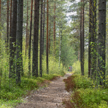 Öppning, …