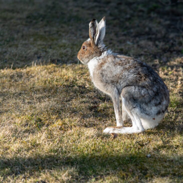 April, …