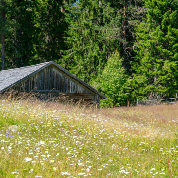 Sommaräng, …