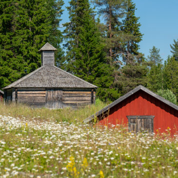 Fäbod, …